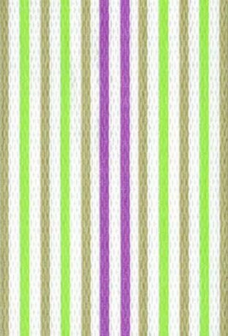 Spring Fling Lite Webbing