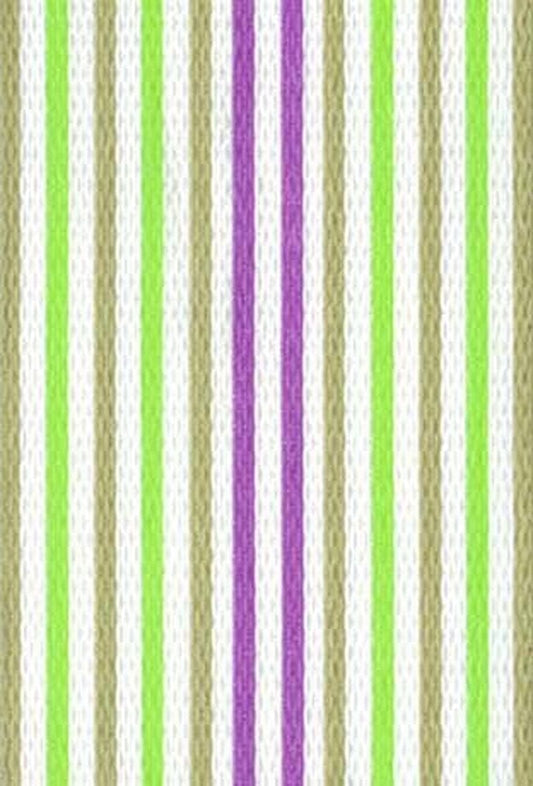 Spring Fling Lite Webbing